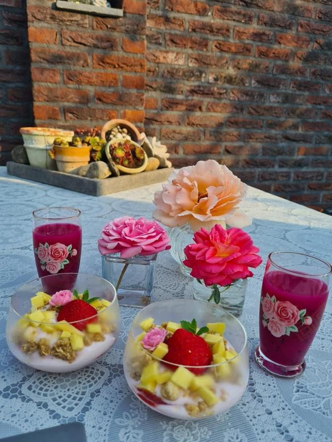 Neerpelt La Rose Bed & Breakfast エクステリア 写真