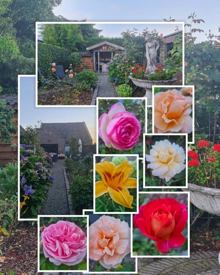 Neerpelt La Rose Bed & Breakfast エクステリア 写真