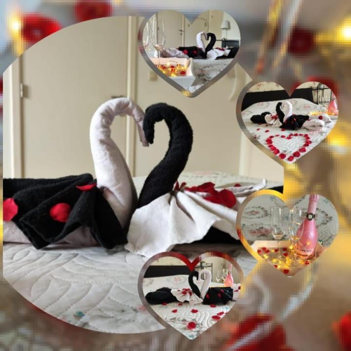 Neerpelt La Rose Bed & Breakfast エクステリア 写真