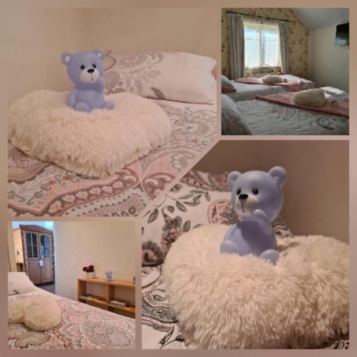 Neerpelt La Rose Bed & Breakfast エクステリア 写真